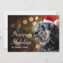 Search for made in uk christmas cards Photography