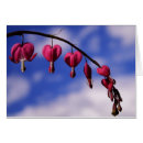 Search for cloudy sky cards Photograph