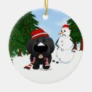 Search for newfoundland dog christmas tree decorations Winter