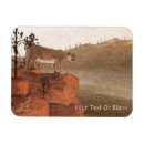 Search for cougars magnets Nature