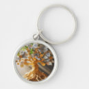 Search for money tree Gold