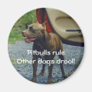 Search for pitbull magnets Humour
