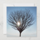 Search for sun shining cards Tree