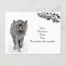 Search for winter snow wolf postcards Wildlife
