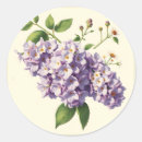 Search for chamomile flowers stickers Floral