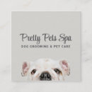 Search for doggy daycare Grooming