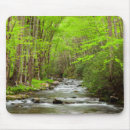 Search for smokey mountain mousepads Forest
