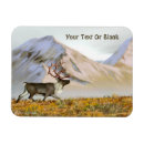 Search for alaska range magnets Caribou