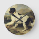 Search for newfoundland clocks Dogs
