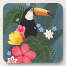 Search for leaf cork coasters Jungle