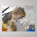 Search for christmas kitten art Tabby