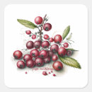 Search for cranberry stickers Vintage