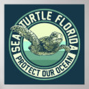 Search for green turtle posters Florida
