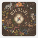 Search for wildlife illustration stickers Bear