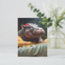 Search for hippo postcards Wildlife