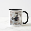 Search for tilted mugs Puppy