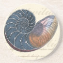 Search for seashell coasters Ocean