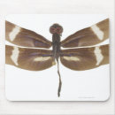 Search for display mousepads Horizontal