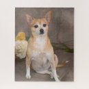 Search for jigsaws pet dogs puzzles Cute dog