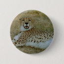 Search for cheetahs badges Wildlife