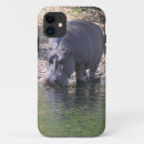 Search for hippos blackberry electronics Wild animals
