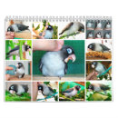 Search for sweet memory Cute