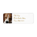 Search for beagle return address labels Canine