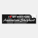 Search for australian shepherd bumper stickers Breed