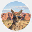 Search for ayers rock stickers Kangaroo