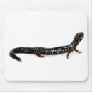 Search for salamander mousepads Amphibian