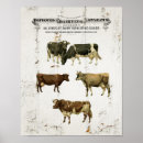 Search for dairy cow posters Vintage