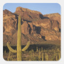 Search for pipe stickers Arid