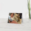 Search for programmer cards Cat