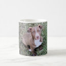 Search for pitbull mugs Red