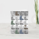 Search for cross country cards Ski