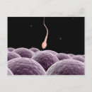 Search for fertilisation postcards Science