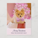 Search for dog photos postcards Pet