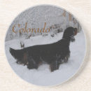 Search for colorado coasters Animal