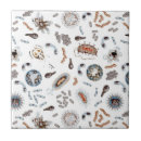 Search for biology tiles Doctor