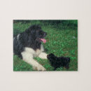 Search for newfoundland dog puzzles Landseer