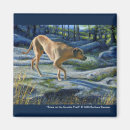 Search for kona magnets Nature
