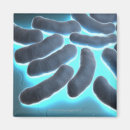 Search for bacterium magnets Medical