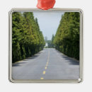 Search for sky christmas tree decorations Usa