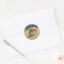 Search for pasture stickers Horse