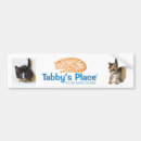Search for tabby bumper stickers Kitten