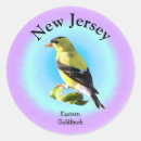 Search for jerseys stickers Yellow