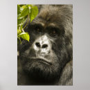 Search for rwanda art Portrait
