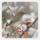 Search for rolf nussbaumer stickers National park