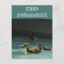 Search for wild duck postcards Birdwatching