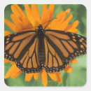 Search for body part stickers Usa
